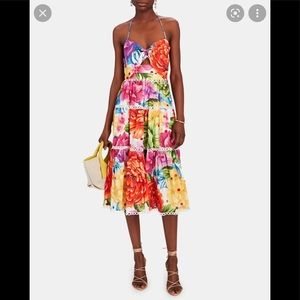 Farm rio Rainbow Chita Floral-Print Midi Dress
